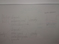 20191121_153151